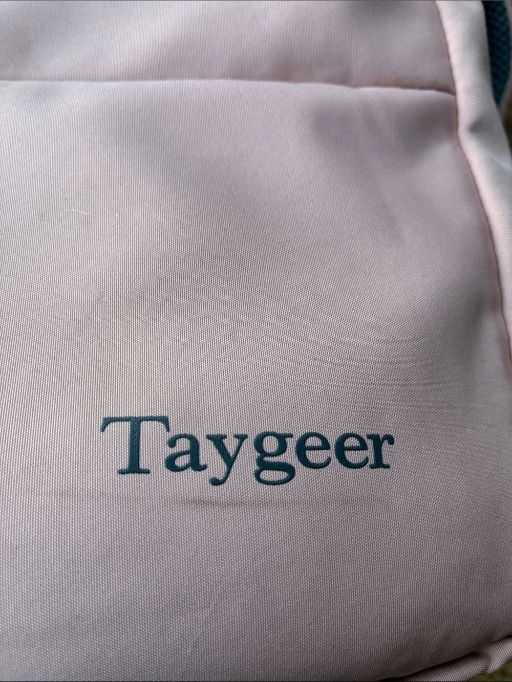 Taygeer Travel Backpack TSA Approved - see notes